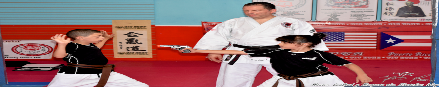 CiC Zone Karate Do Defensa Personal